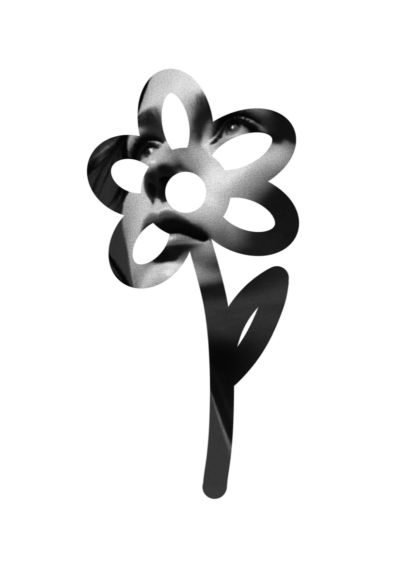 Wannado Design 2
